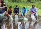Bupati HSU Komitmen Kembangkan Agrominapolitan Lewat Hari Ikan Nasional